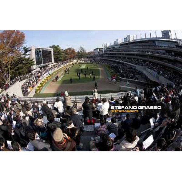 120.000 racegoers attended at Fuchu racecourse for the Japan Cup Tokyo- Fuchu racecourse, 28th nov. 2010 ph. Stefano Grasso