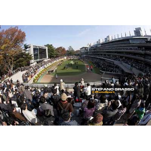 120.000 racegoers attended at Fuchu racecourse for the Japan Cup Tokyo- Fuchu racecourse, 28th nov. 2010 ph. Stefano Grasso