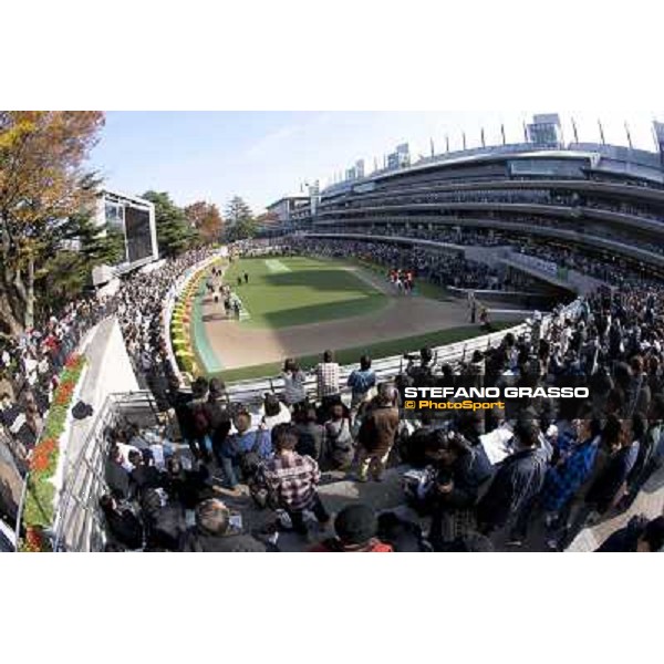 120.000 racegoers attended at Fuchu racecourse for the Japan Cup Tokyo- Fuchu racecourse, 28th nov. 2010 ph. Stefano Grasso