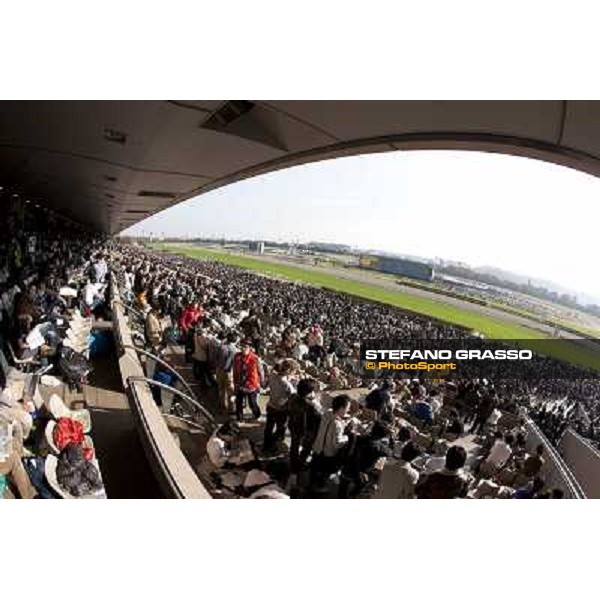 120.000 racegoers attended at Fuchu racecourse for the Japan Cup Tokyo- Fuchu racecourse, 28th nov. 2010 ph. Stefano Grasso