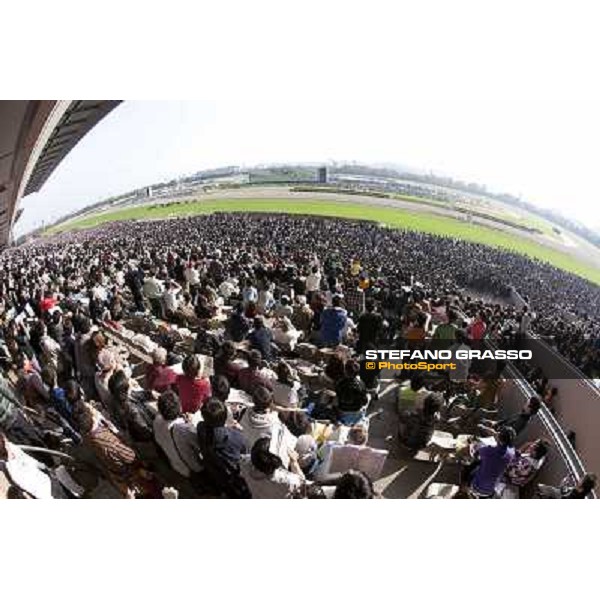 120.000 racegoers attended at Fuchu racecourse for the Japan Cup Tokyo- Fuchu racecourse, 28th nov. 2010 ph. Stefano Grasso