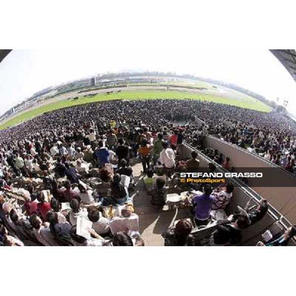 120.000 racegoers attended at Fuchu racecourse for the Japan Cup Tokyo- Fuchu racecourse, 28th nov. 2010 ph. Stefano Grasso