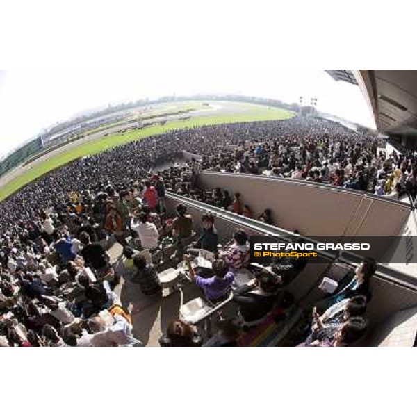 120.000 racegoers attended at Fuchu racecourse for the Japan Cup Tokyo- Fuchu racecourse, 28th nov. 2010 ph. Stefano Grasso