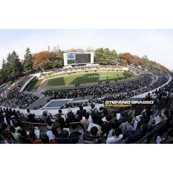 120.000 racegoers attended at Fuchu racecourse for the Japan Cup Tokyo- Fuchu racecourse, 28th nov. 2010 ph. Stefano Grasso