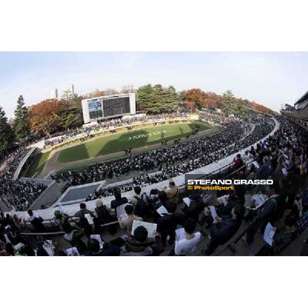 120.000 racegoers attended at Fuchu racecourse for the Japan Cup Tokyo- Fuchu racecourse, 28th nov. 2010 ph. Stefano Grasso