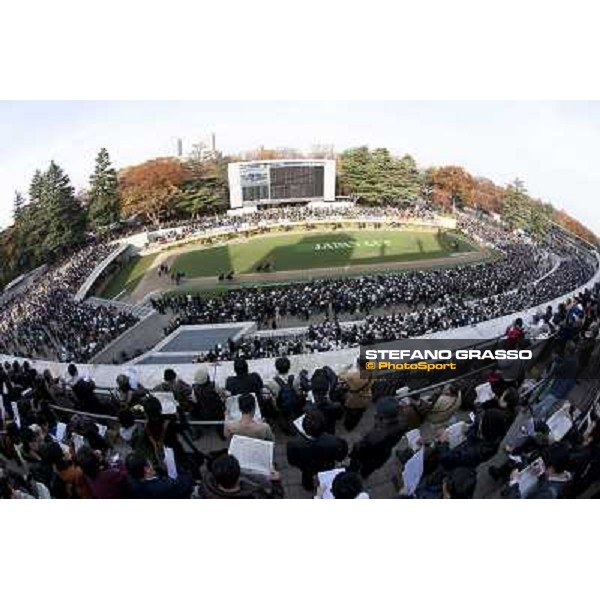 120.000 racegoers attended at Fuchu racecourse for the Japan Cup Tokyo- Fuchu racecourse, 28th nov. 2010 ph. Stefano Grasso