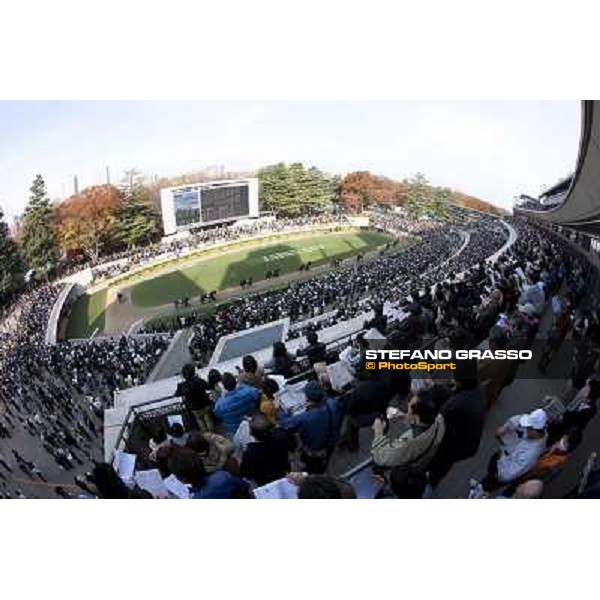 120.000 racegoers attended at Fuchu racecourse for the Japan Cup Tokyo- Fuchu racecourse, 28th nov. 2010 ph. Stefano Grasso