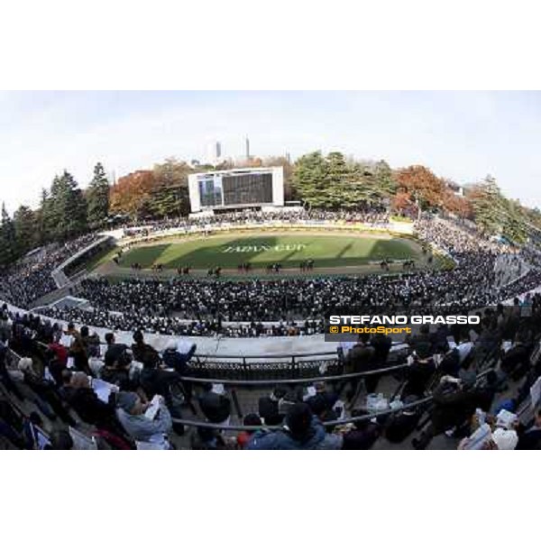 120.000 racegoers attended at Fuchu racecourse for the Japan Cup Tokyo- Fuchu racecourse, 28th nov. 2010 ph. Stefano Grasso