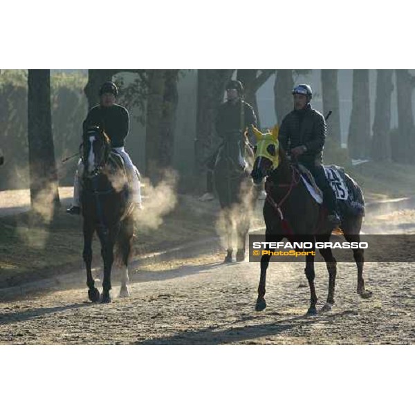 a morning at Ritto training center Ritto, 2nd dec. 2010 ph. Stefano Grasso