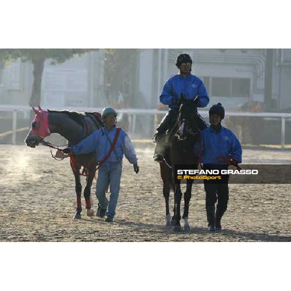 a morning at Ritto training center Ritto, 2nd dec. 2010 ph. Stefano Grasso