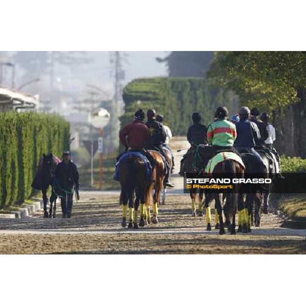 a morning at Ritto training center Ritto, 2nd dec. 2010 ph. Stefano Grasso