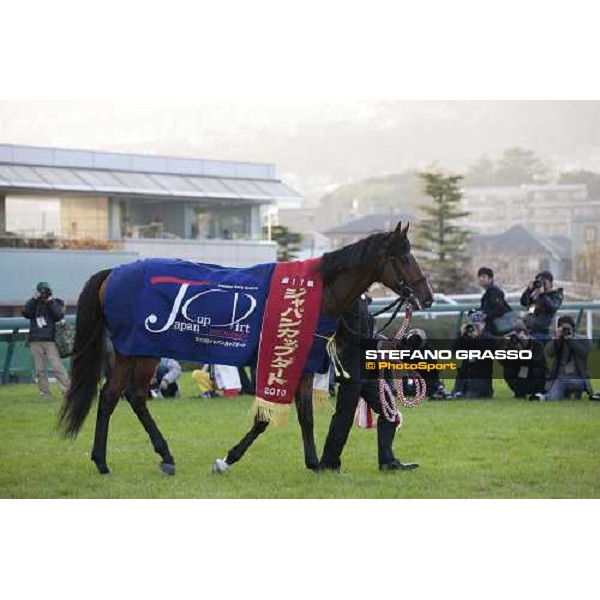 Shiniji Fujita on Transcend wins th Japan Cup Dirt Osaka - Hanshin racecourse, 5th dec. 2010 ph. Stefano Grasso