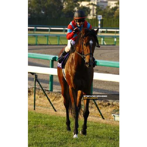 Shiniji Fujita on Transcend wins th Japan Cup Dirt Osaka - Hanshin racecourse, 5th dec. 2010 ph. Stefano Grasso