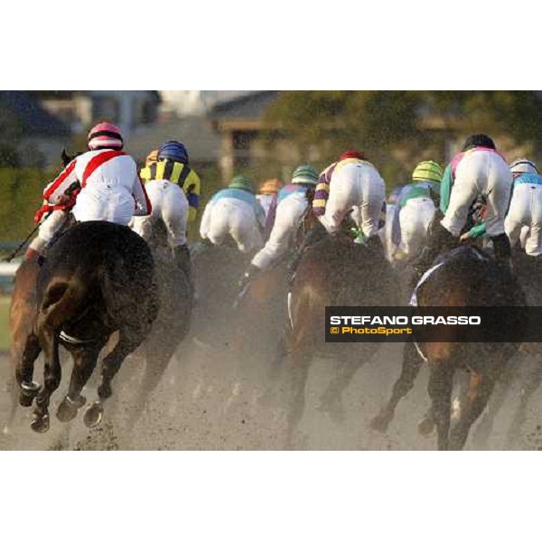 Shiniji Fujita on Transcend wins th Japan Cup Dirt Osaka - Hanshin racecourse, 5th dec. 2010 ph. Stefano Grasso