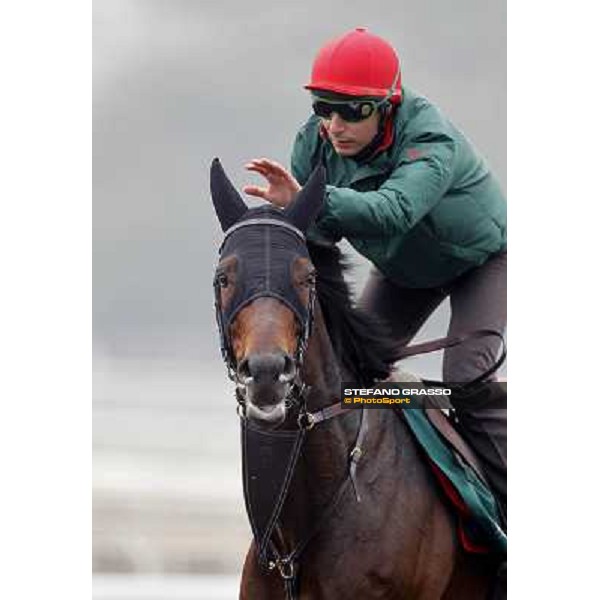 Endo Botti and Jakkalberry at Sha Tin racetrack Hong Kong- Sha Tin, 7th dec. 2010 ph. Stefano Grasso