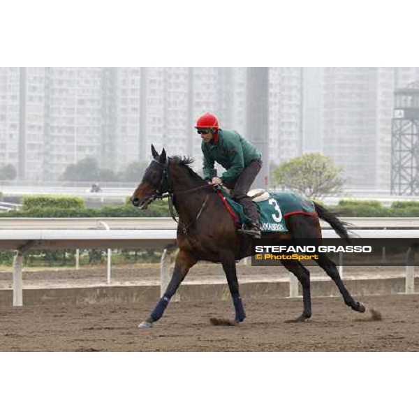 Endo Botti and Jakkalberry at Sha Tin racetrack Hong Kong- Sha Tin, 7th dec. 2010 ph. Stefano Grasso