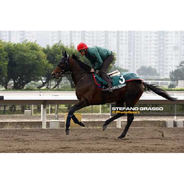 Endo Botti and Jakkalberry at Sha Tin racetrack Hong Kong- Sha Tin, 7th dec. 2010 ph. Stefano Grasso