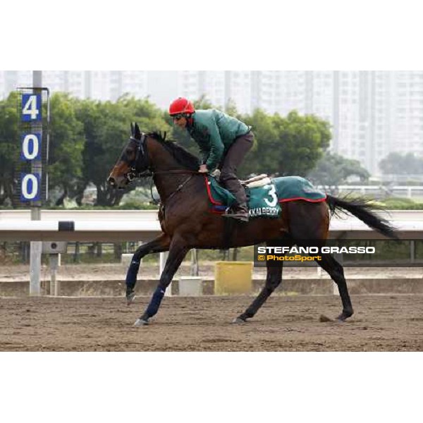 Endo Botti and Jakkalberry at Sha Tin racetrack Hong Kong- Sha Tin, 7th dec. 2010 ph. Stefano Grasso