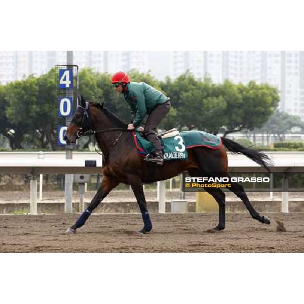 Endo Botti and Jakkalberry at Sha Tin racetrack Hong Kong- Sha Tin, 7th dec. 2010 ph. Stefano Grasso