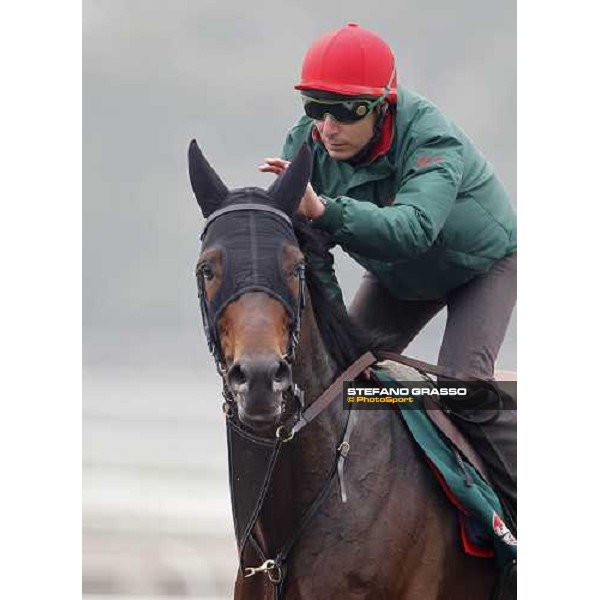 Endo Botti and Jakkalberry at Sha Tin racetrack Hong Kong- Sha Tin, 7th dec. 2010 ph. Stefano Grasso
