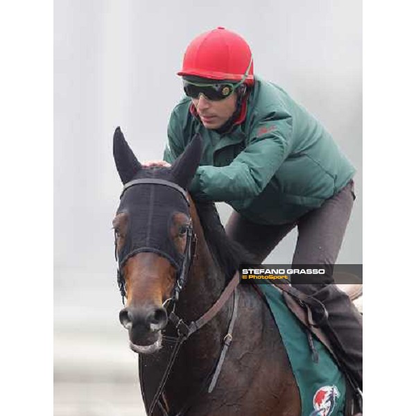 Endo Botti and Jakkalberry at Sha Tin racetrack Hong Kong- Sha Tin, 7th dec. 2010 ph. Stefano Grasso