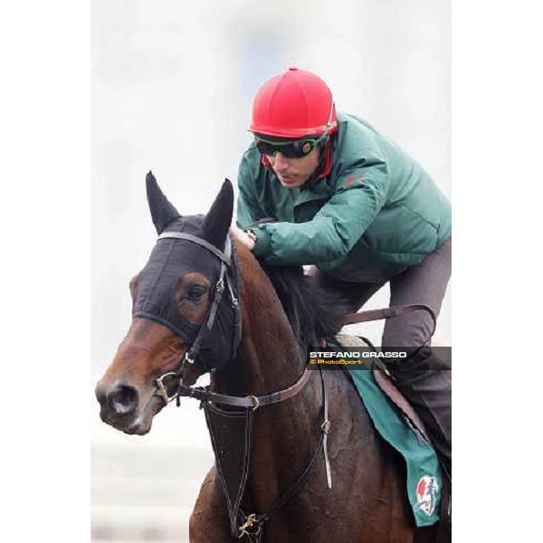 Endo Botti and Jakkalberry at Sha Tin racetrack Hong Kong- Sha Tin, 7th dec. 2010 ph. Stefano Grasso