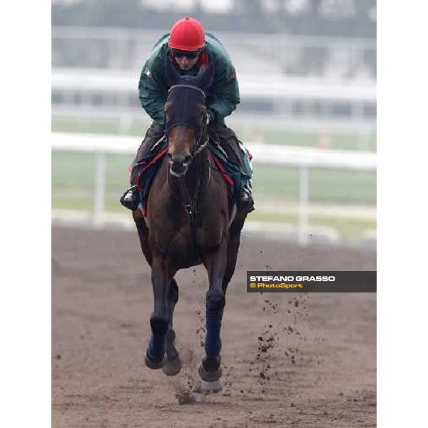 Endo Botti and Jakkalberry at Sha Tin racetrack Hong Kong- Sha Tin, 7th dec. 2010 ph. Stefano Grasso
