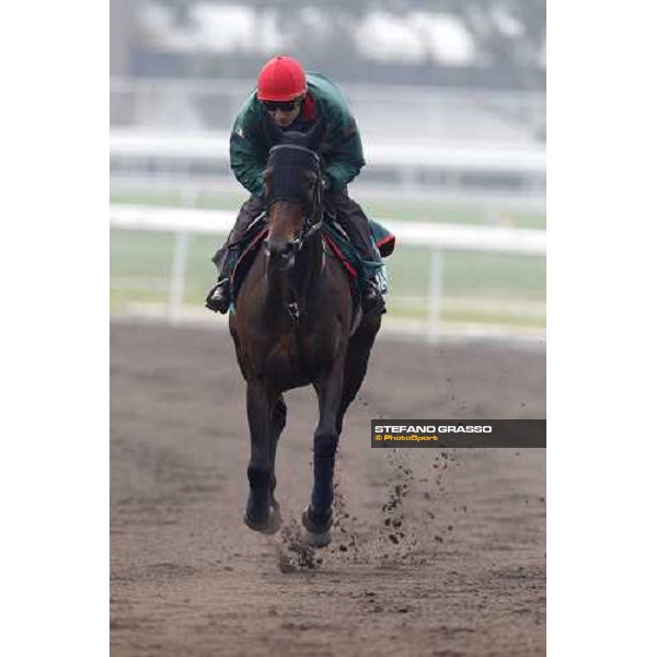 Endo Botti and Jakkalberry at Sha Tin racetrack Hong Kong- Sha Tin, 7th dec. 2010 ph. Stefano Grasso
