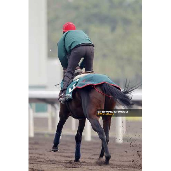 Endo Botti and Jakkalberry at Sha Tin racetrack Hong Kong- Sha Tin, 7th dec. 2010 ph. Stefano Grasso