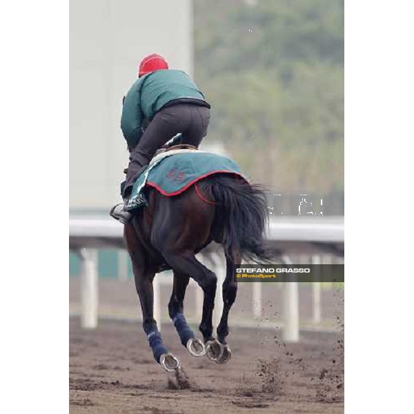 Endo Botti and Jakkalberry at Sha Tin racetrack Hong Kong- Sha Tin, 7th dec. 2010 ph. Stefano Grasso