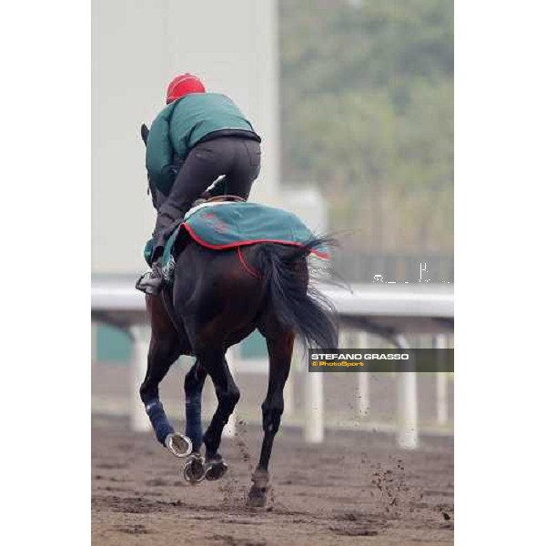 Endo Botti and Jakkalberry at Sha Tin racetrack Hong Kong- Sha Tin, 7th dec. 2010 ph. Stefano Grasso