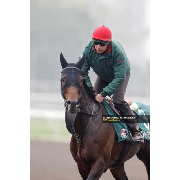 Endo Botti and Jakkalberry at Sha Tin racetrack Hong Kong- Sha Tin, 7th dec. 2010 ph. Stefano Grasso