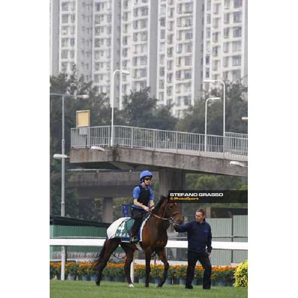Mastery working at Sha Tin racetrack Hong Kong- Sha Tin, 7th dec. 2010 ph. Stefano Grasso