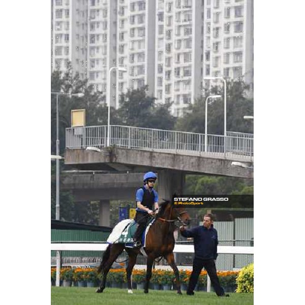 Mastery working at Sha Tin racetrack Hong Kong- Sha Tin, 7th dec. 2010 ph. Stefano Grasso