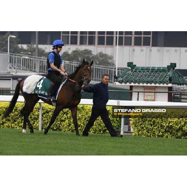 Mastery working at Sha Tin racetrack Hong Kong- Sha Tin, 7th dec. 2010 ph. Stefano Grasso