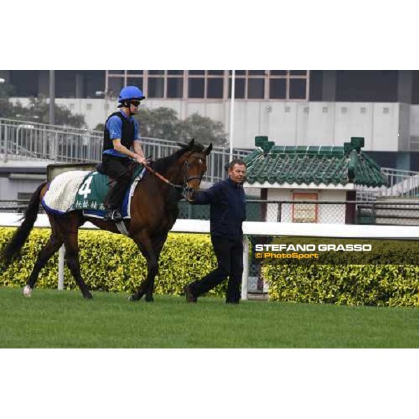 Mastery working at Sha Tin racetrack Hong Kong- Sha Tin, 7th dec. 2010 ph. Stefano Grasso