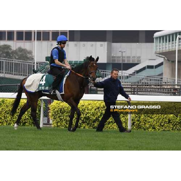 Mastery working at Sha Tin racetrack Hong Kong- Sha Tin, 7th dec. 2010 ph. Stefano Grasso