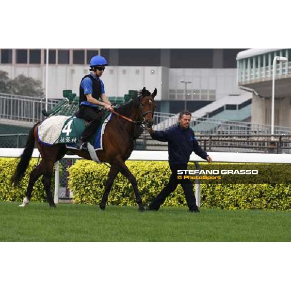 Mastery working at Sha Tin racetrack Hong Kong- Sha Tin, 7th dec. 2010 ph. Stefano Grasso