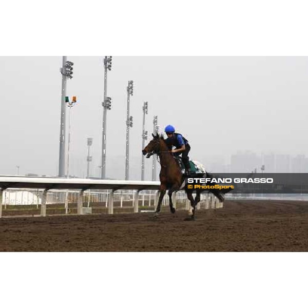 Mastery working at Sha Tin racetrack Hong Kong- Sha Tin, 7th dec. 2010 ph. Stefano Grasso