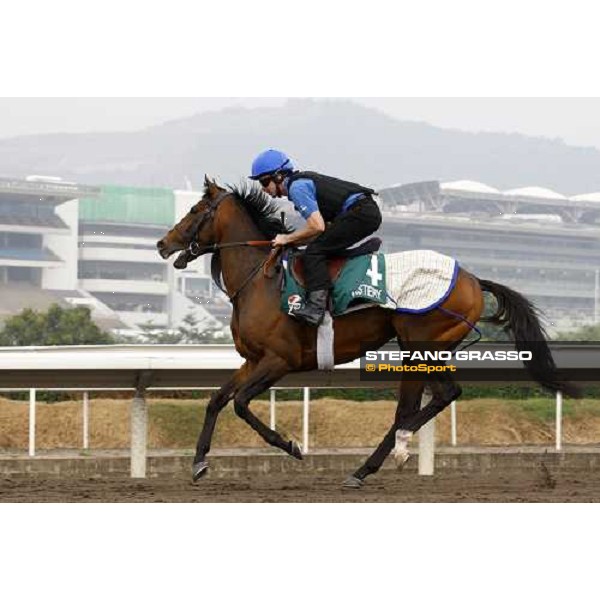 Mastery working at Sha Tin racetrack Hong Kong- Sha Tin, 7th dec. 2010 ph. Stefano Grasso