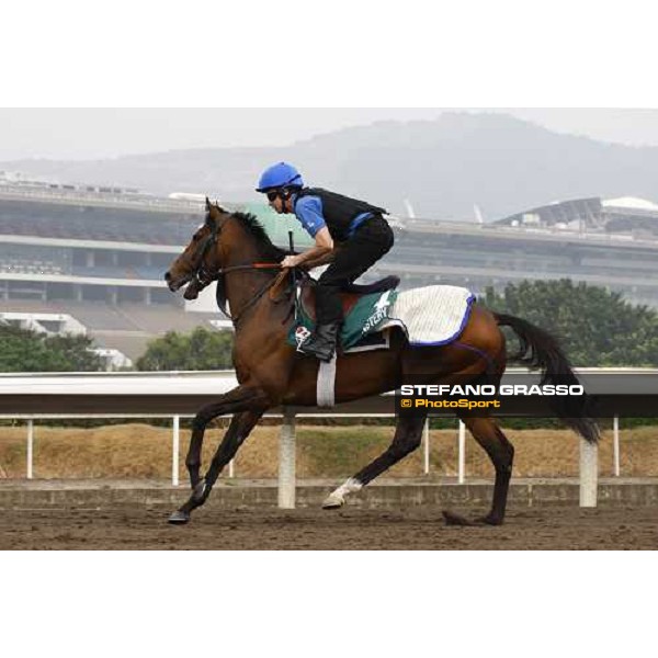 Mastery working at Sha Tin racetrack Hong Kong- Sha Tin, 7th dec. 2010 ph. Stefano Grasso