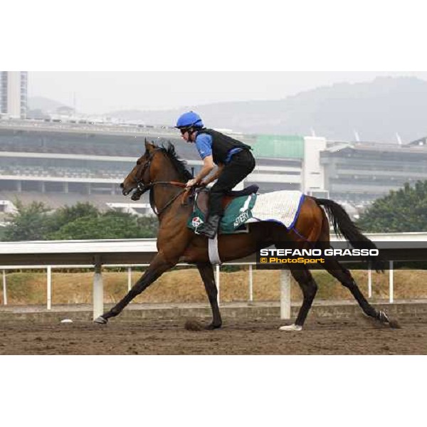 Mastery working at Sha Tin racetrack Hong Kong- Sha Tin, 7th dec. 2010 ph. Stefano Grasso
