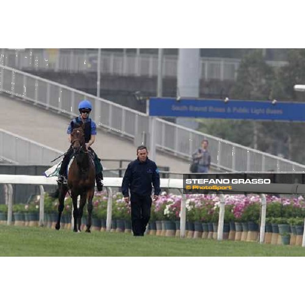 Mastery working at Sha Tin racetrack Hong Kong- Sha Tin, 7th dec. 2010 ph. Stefano Grasso