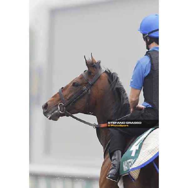 Mastery working at Sha Tin racetrack Hong Kong- Sha Tin, 7th dec. 2010 ph. Stefano Grasso