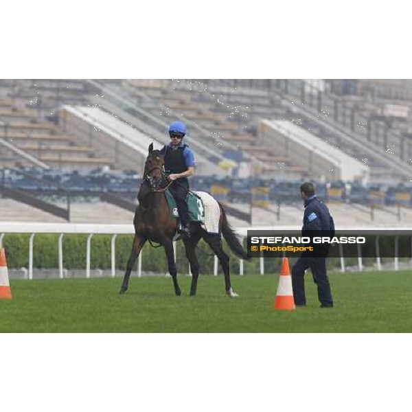 Mastery working at Sha Tin racetrack Hong Kong- Sha Tin, 7th dec. 2010 ph. Stefano Grasso