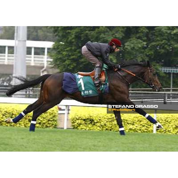 Morning trackworks at Sha Tin racetrack - Americain Hong Kong- Sha Tin, 7th dec. 2010 ph. Stefano Grasso