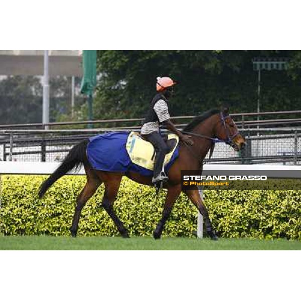 Morning trackworks at Sha Tin racetrack - J J The Jet Planet Hong Kong- Sha Tin, 7th dec. 2010 ph. Stefano Grasso