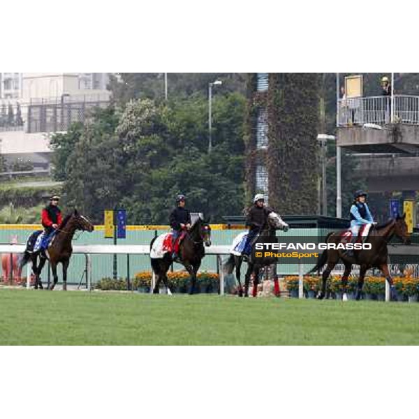 Morning trackworks at Sha Tin racetrack -Cirrus des Aigles - Rajsaman - Vision d\' Etat- Royal Bench Hong Kong- Sha Tin, 7th dec. 2010 ph. Stefano Grasso