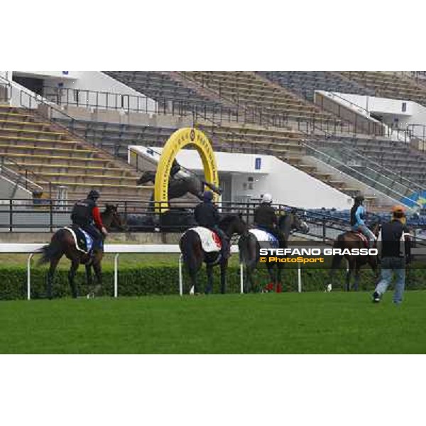 Morning trackworks at Sha Tin racetrack -Cirrus des Aigles - Rajsaman - Vision d\' Etat- Royal Bench Hong Kong- Sha Tin, 7th dec. 2010 ph. Stefano Grasso