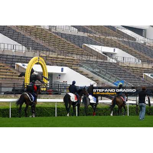 Morning trackworks at Sha Tin racetrack -Cirrus des Aigles - Rajsaman - Vision d\' Etat- Royal Bench Hong Kong- Sha Tin, 7th dec. 2010 ph. Stefano Grasso